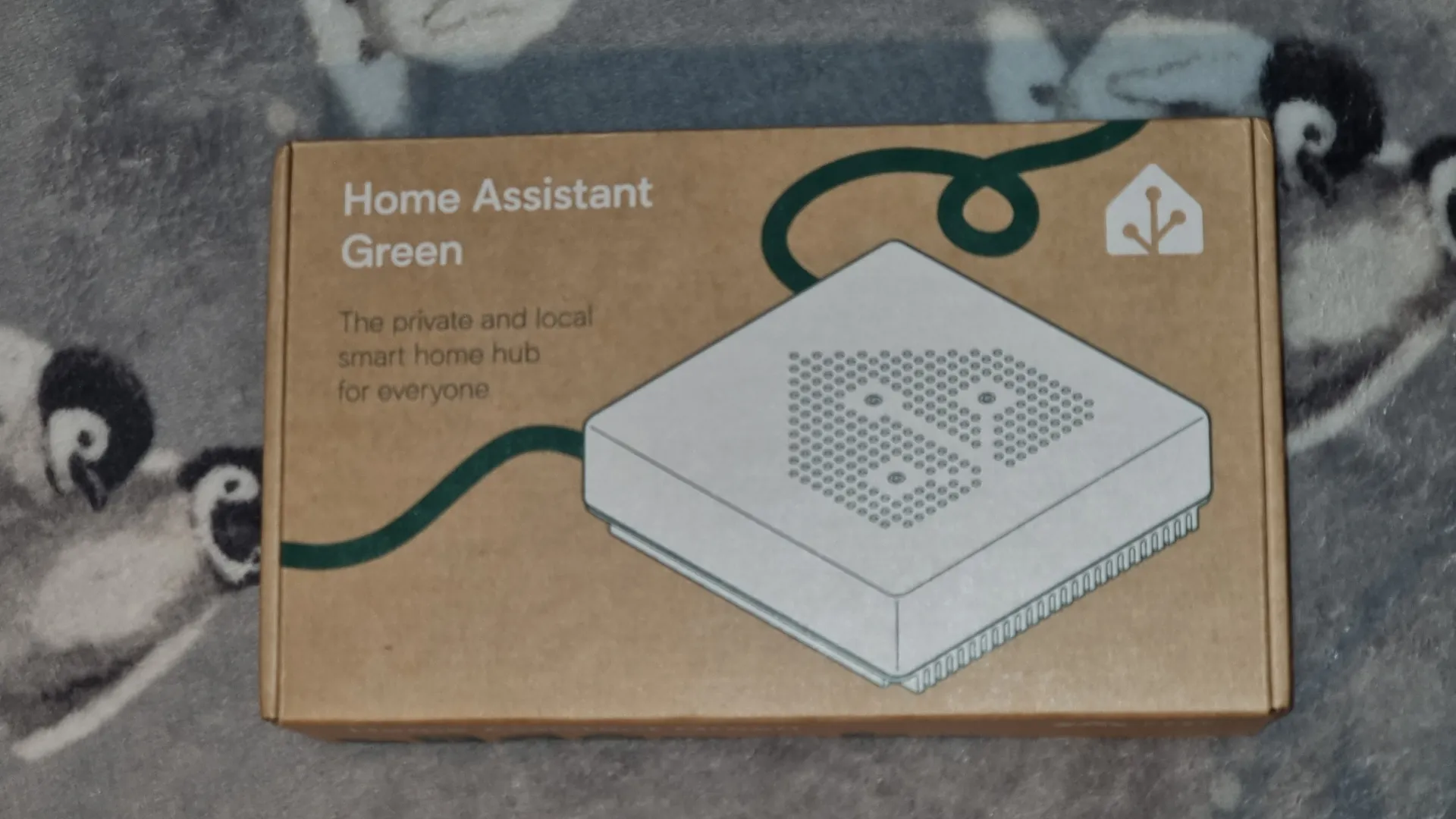 Home Assistant Green box